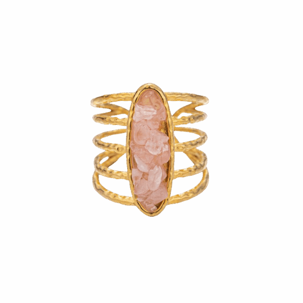 EvoStone Ring